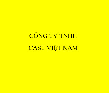 CÔNG TY TNHH CAST VIỆT NAM